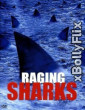 Raging Sharks 2005 Dual Audio (ORG) [Hindi+English] Hollywood Hindi Movie Download